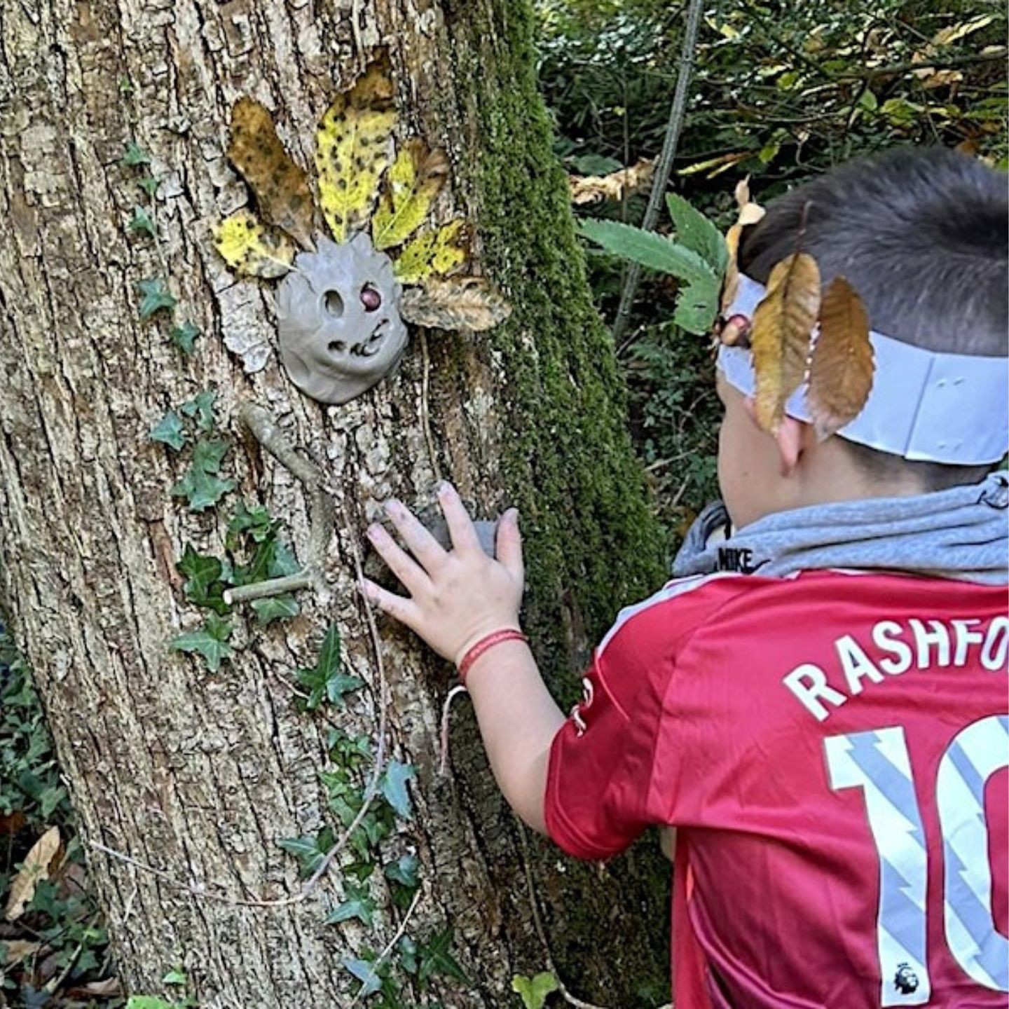 Woodlands Wonders For Website 2