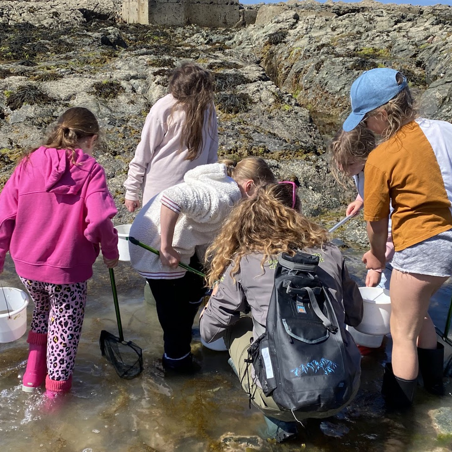 Girls rockpooling