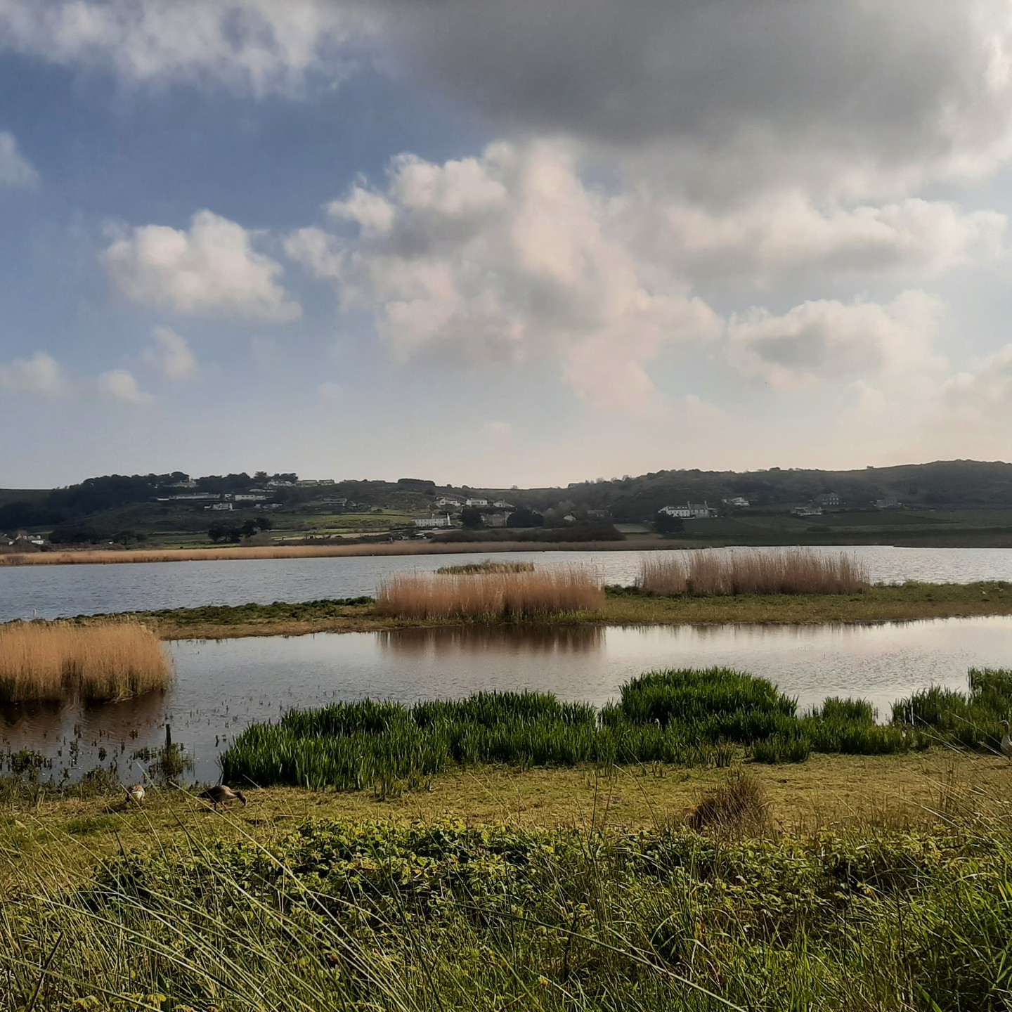St Ouens Pond Spring