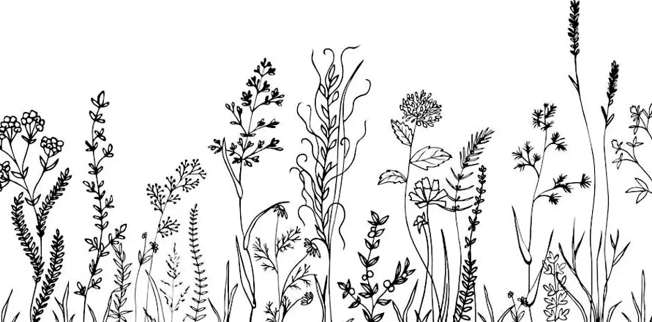Newsketching