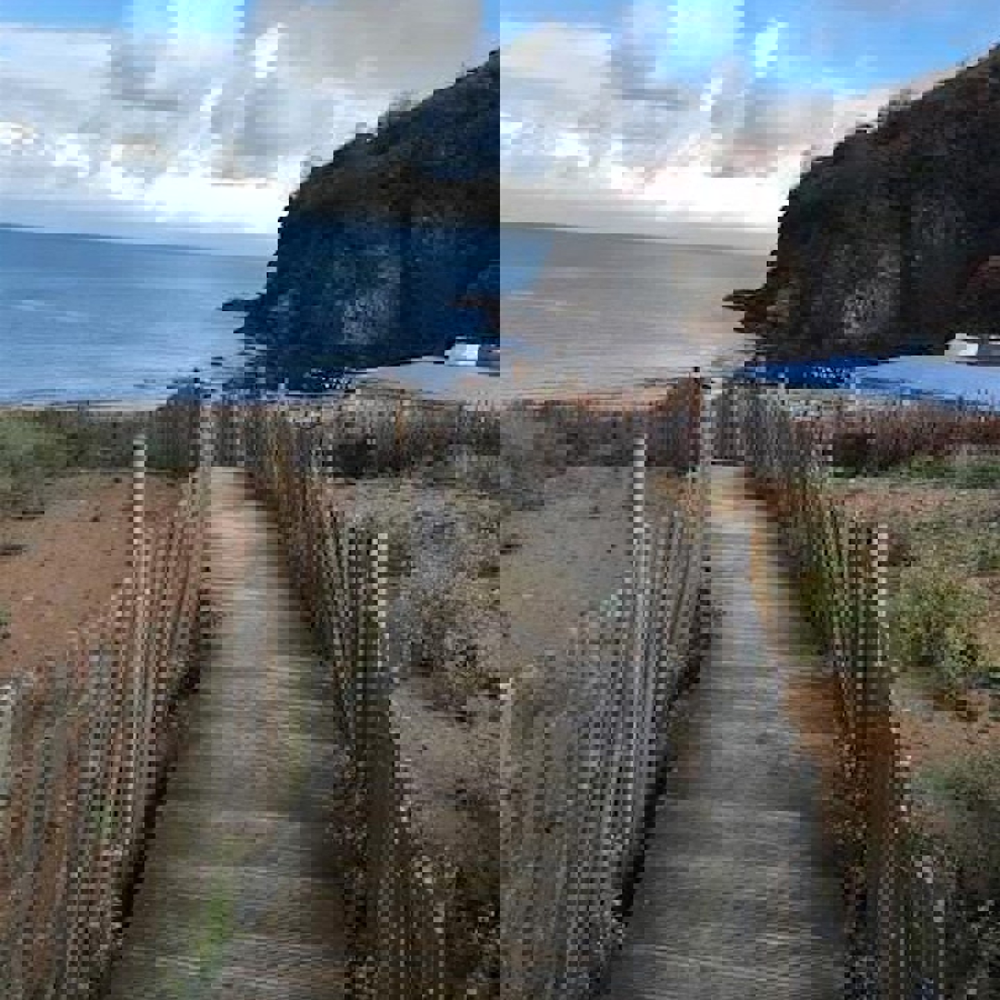 Https Cdn.Evbuc.Com Images 1172041536 276102731129 1 Original