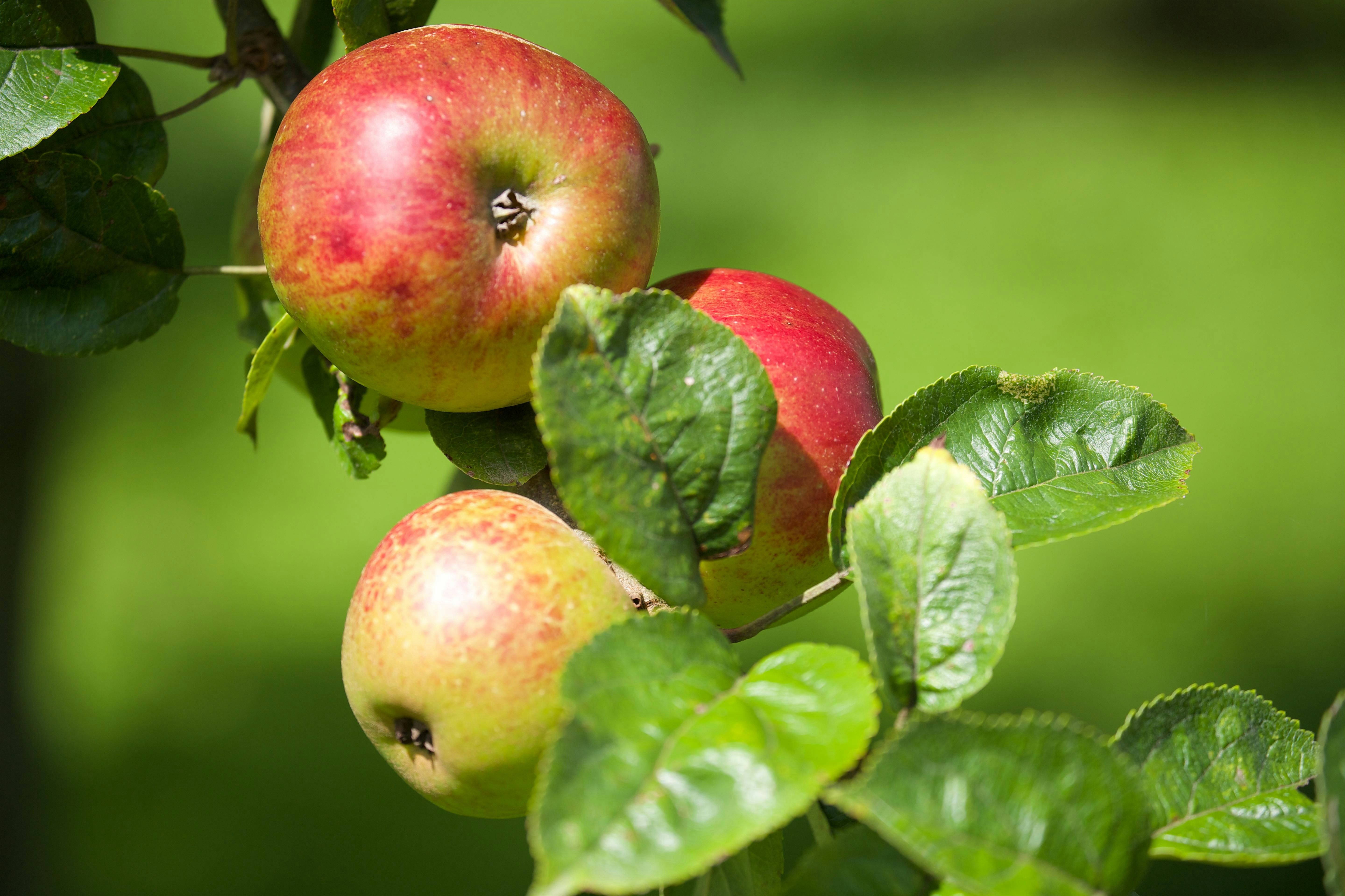 Https Cdn.Evbuc.Com Images 436680559 276102731129 1 Original (1)