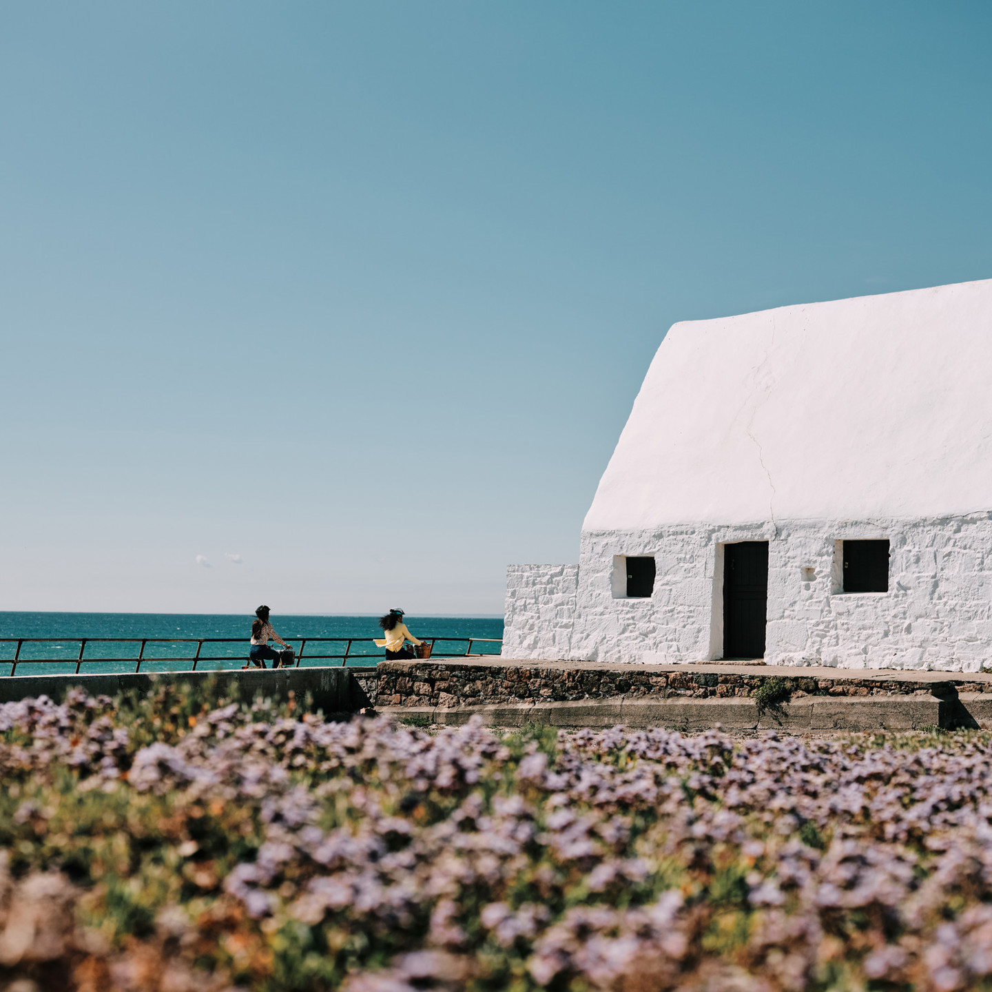 Le Don Hilton - National Trust for Jersey. White Cottage by the sea