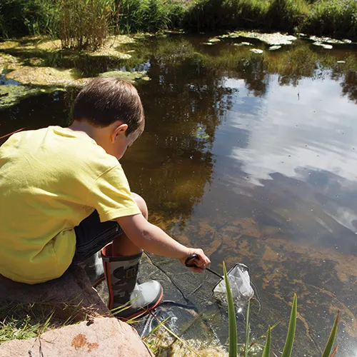 Boy fishing in a pond