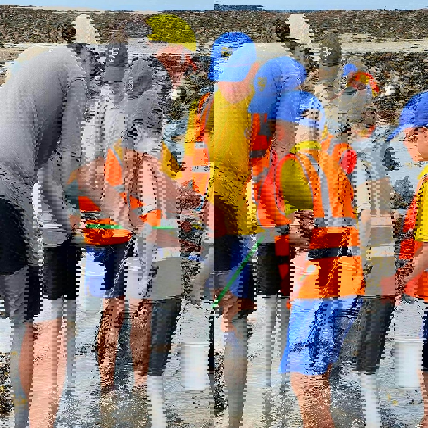 Group of children and a teacher looking at a net while rockpooling