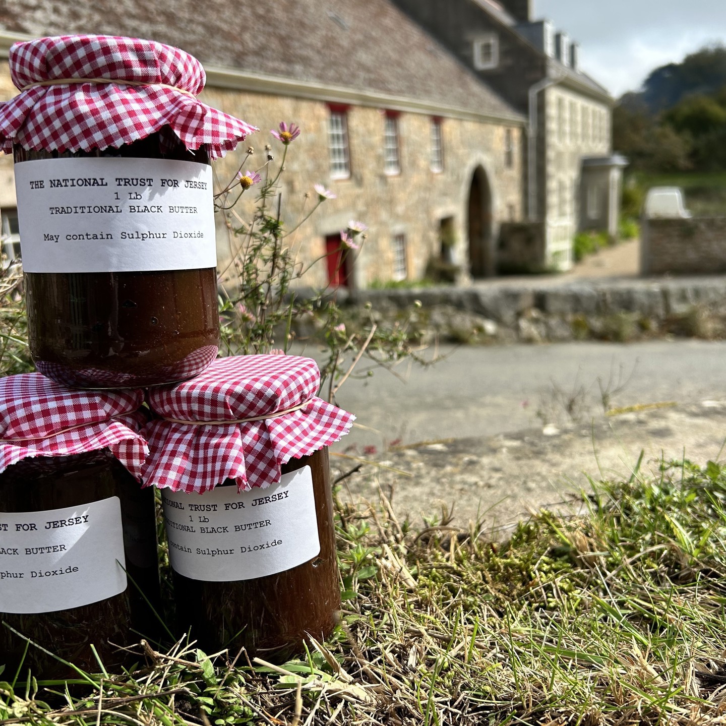 Black Butter Elms 2024.4 Copy