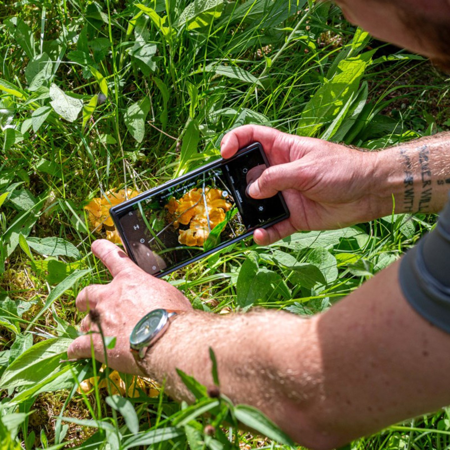 20240725 Ncc Bioblitz Photo By Dennis Minty (1)
