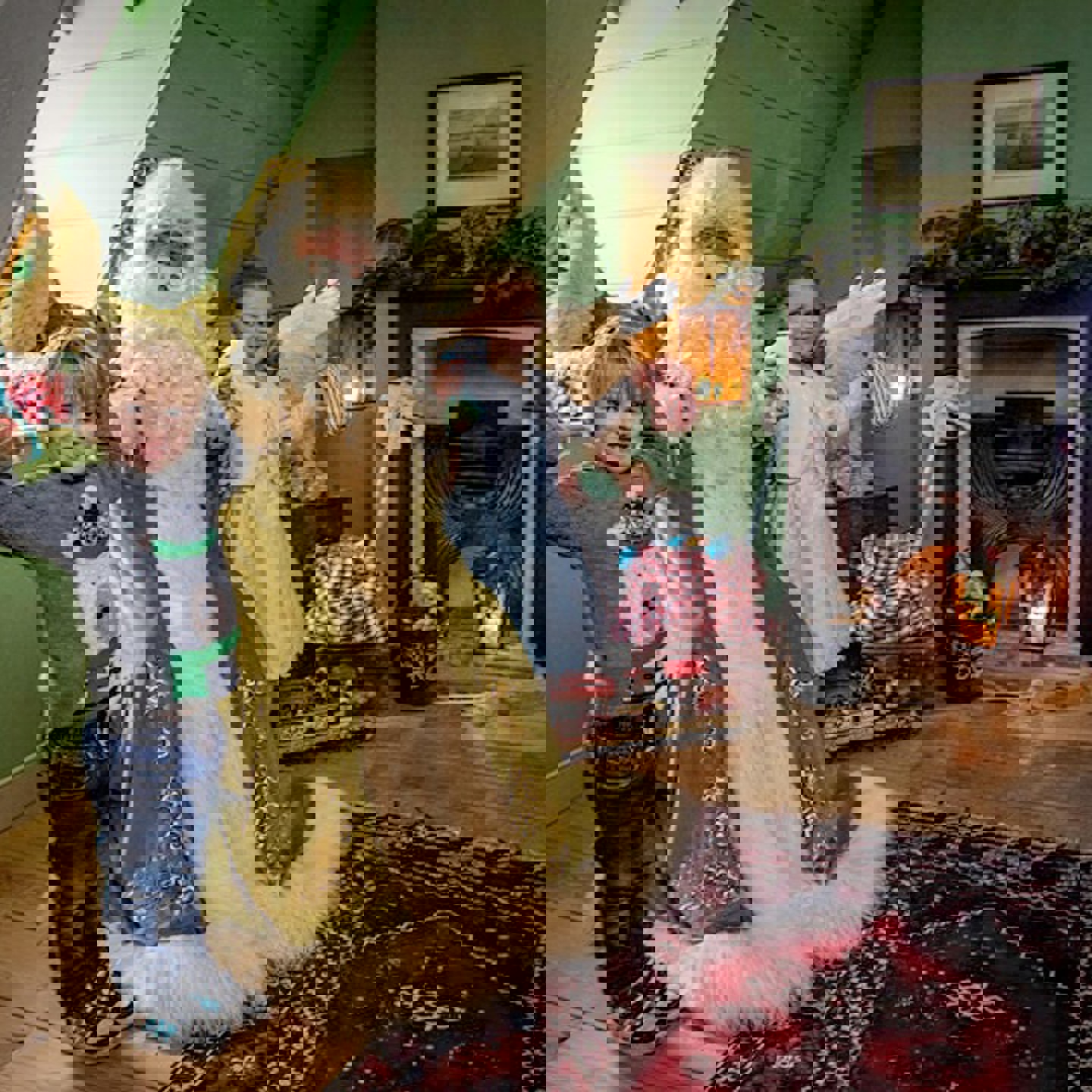 Father Christmas At New Streetcheck Children Usage