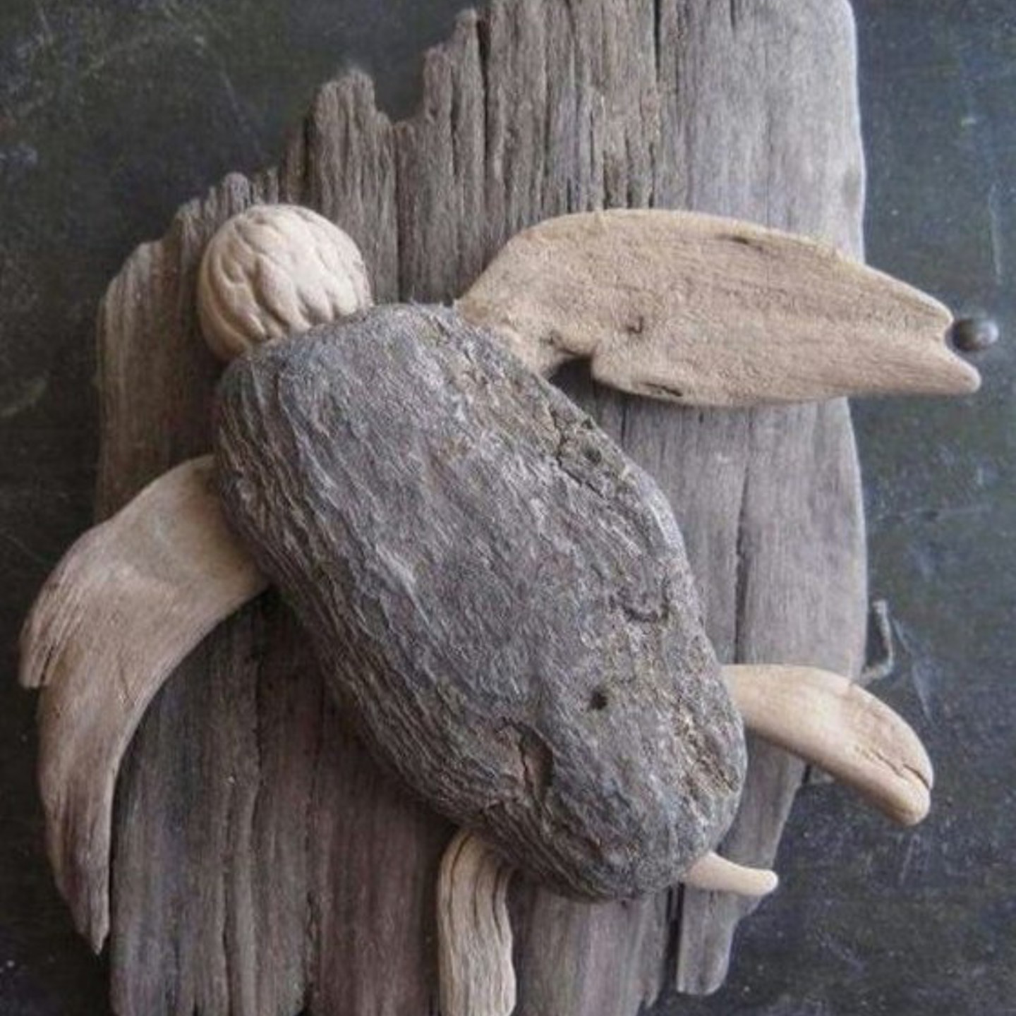 Online Turtle Example