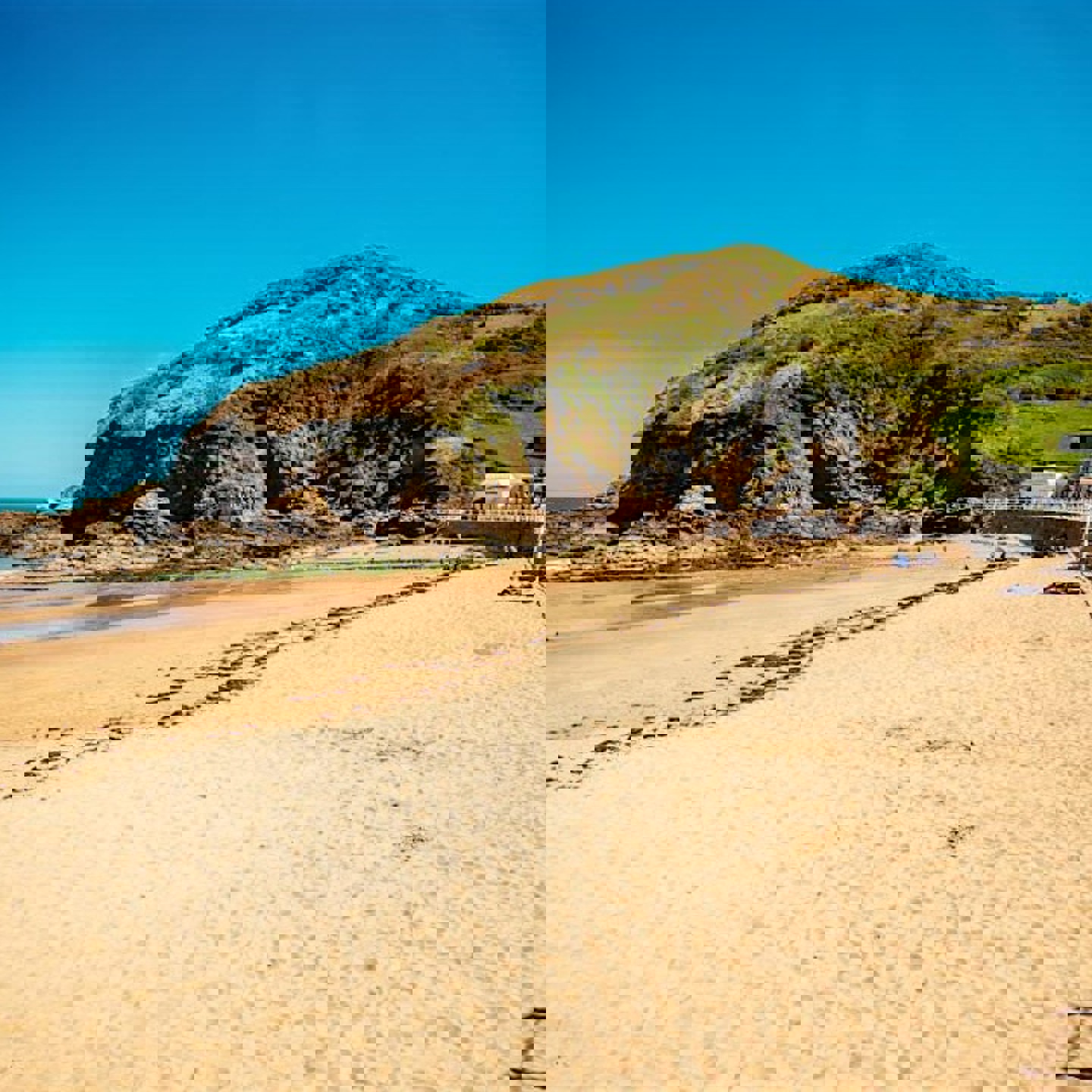 Https Cdn.Evbuc.Com Images 1172041543 276102731129 1 Original