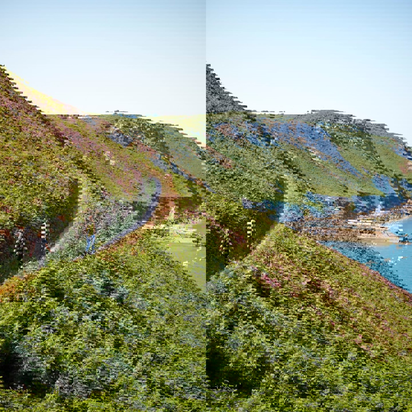 North Coast Headland